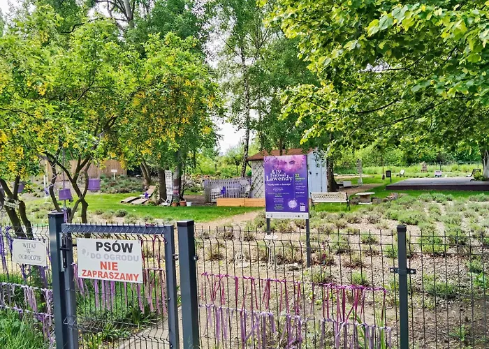 Premium Duplex Apartament *